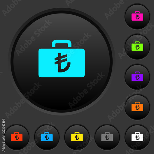 Turkish Lira bag dark push buttons with color icons