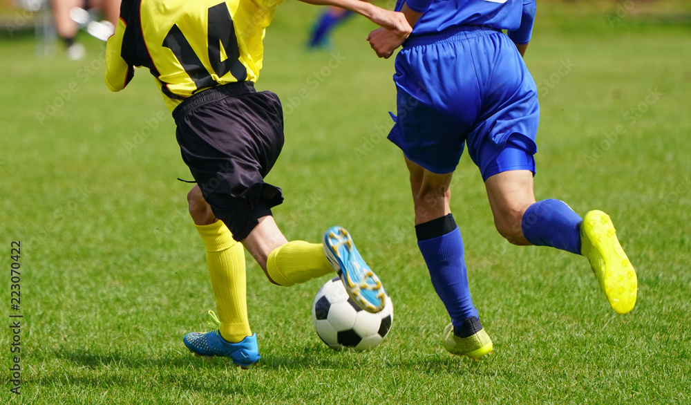 Fototapeta premium サッカー フットボール