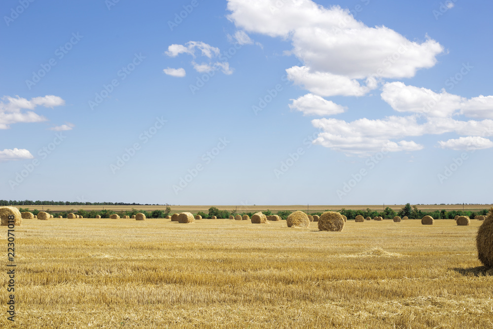 Rural landscapes. Rolls of haystacks on the field