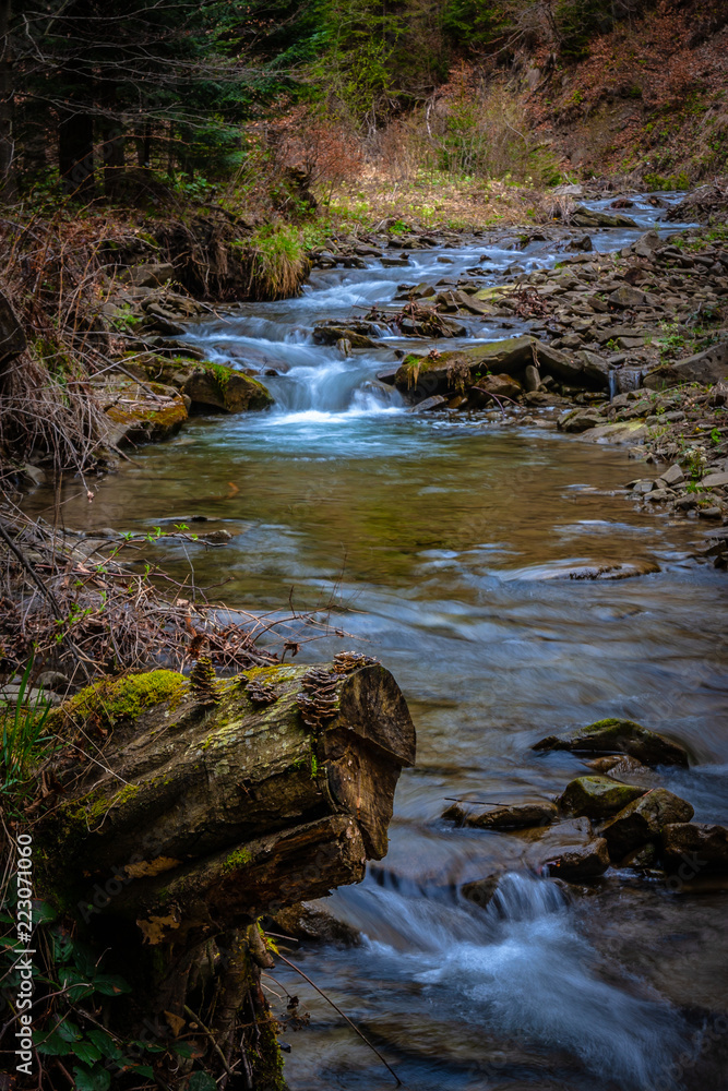 Fototapeta premium Strumień w lesie #19