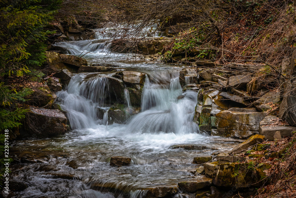 Fototapeta premium Strumień w lesie #13