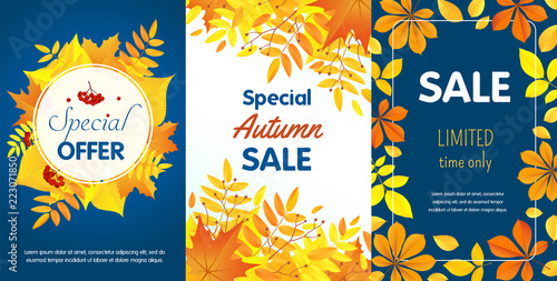 Autumn sale banner set. Flat illustration of autumn sale vector banner set for web design