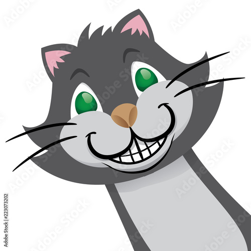 Mascot curious cat smiling. Ideal for promotional materials and veterinary institutional photo