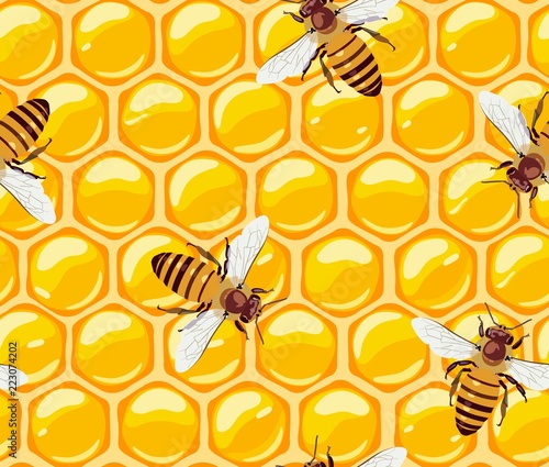 Seamless pattern with bees and honeycomb. Honey. Useful insects. Vector.