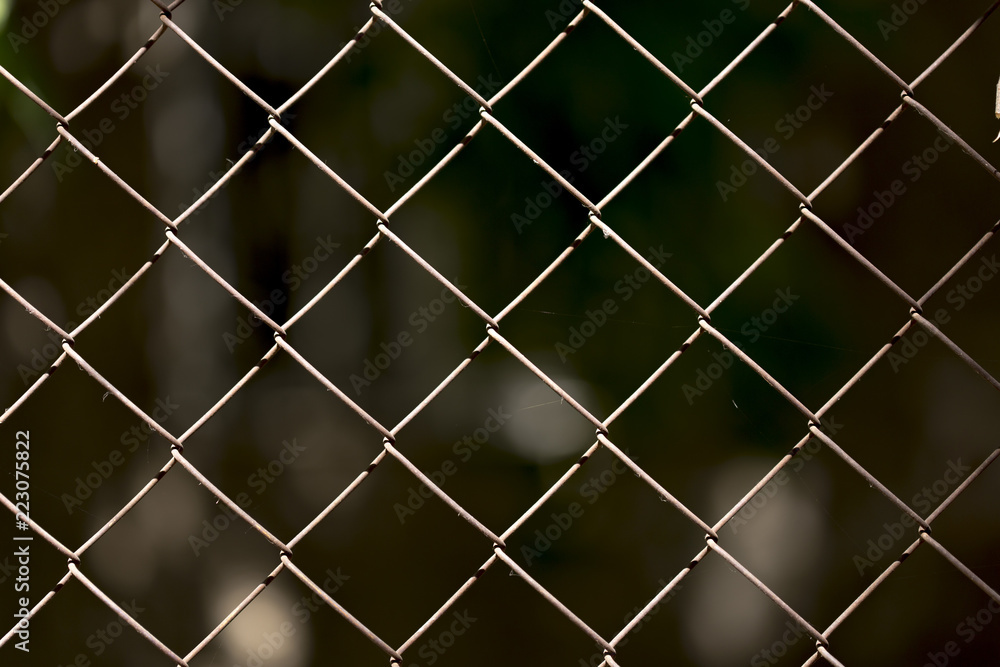 Green wire fence on background of green trees Green wire fence on background of green trees