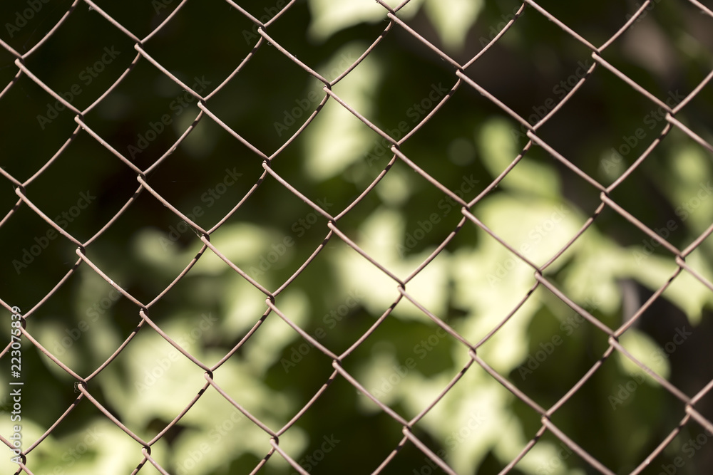 Green wire fence on background of green trees Green wire fence on background of green trees