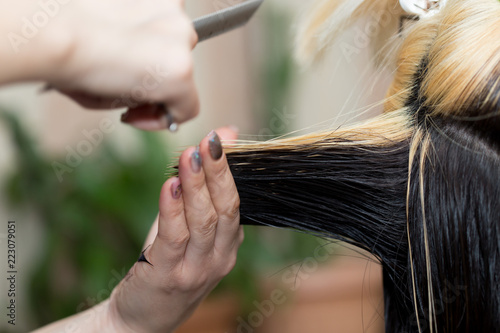 Closeup macro shot image of hairstylist hairdresser cutting customer woman hair in salon with scissors and comb, look from behind back side