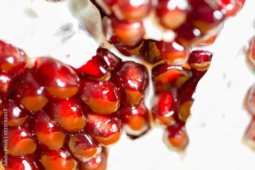pomegranate macro pomegranate macro