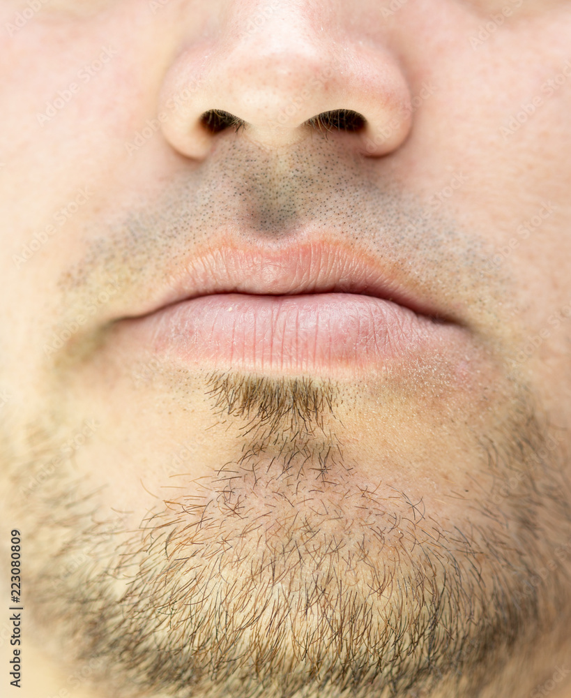 Obraz premium male beard close-up