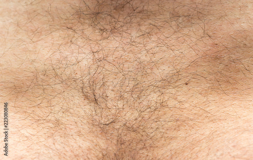 Billede på lærred hairy male body