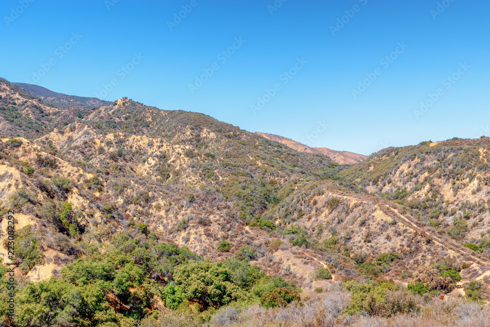 Trails and dry brush on summer morning in Southern California mountains