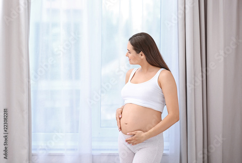 Young beautiful pregnant woman near window at home Free Download Young beautiful pregnant woman near window at home - GFXLoad