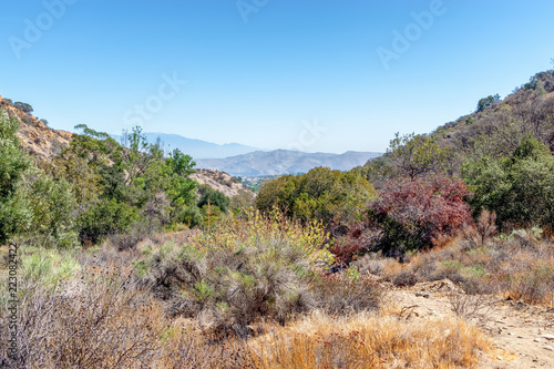 Heavy dry summer brush on hiking trails with city in the distance and room for text in sky