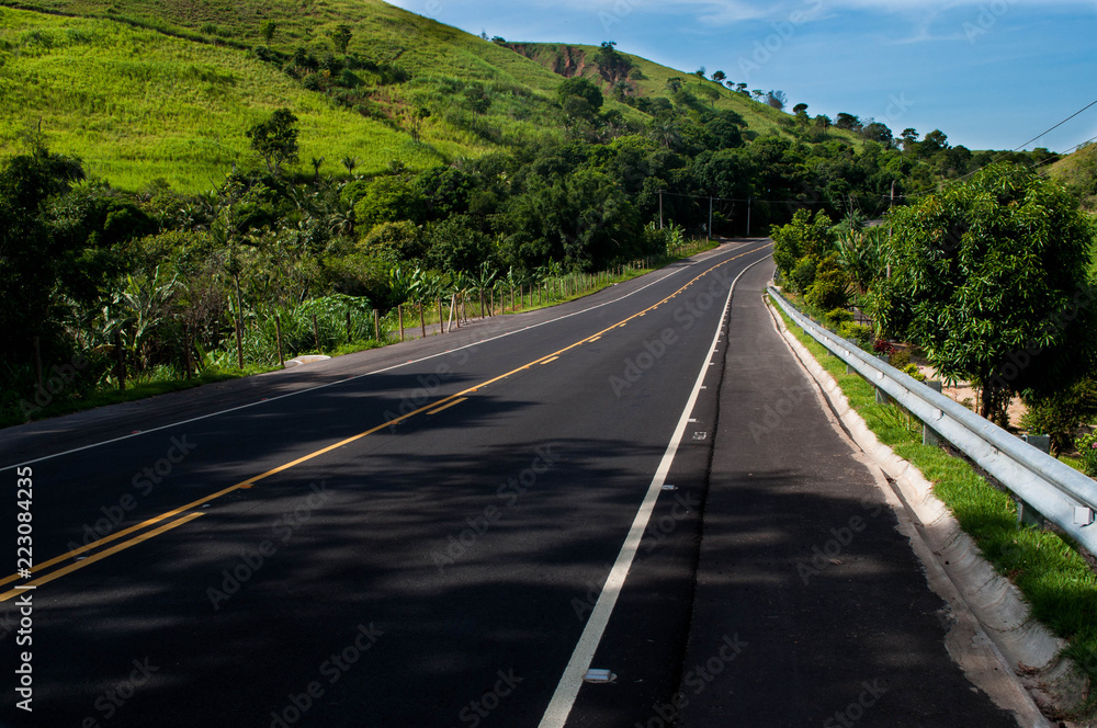 Fototapeta premium road in the forest
