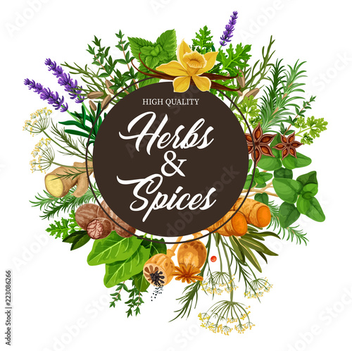 Herbs and spices with frame of plants