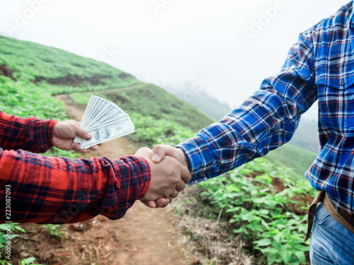 farmer shaking hands form buying fresh vegetables at farmer's market on mountain farm