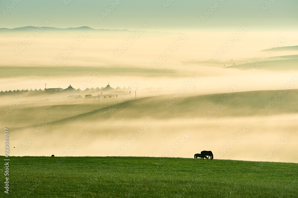 Obraz premium The morning air of Hulunbuir grassland of China.