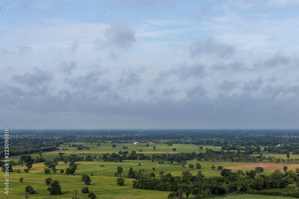 Fototapeta premium High angle view of forest and rice fields.