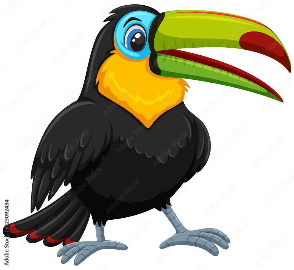 Fototapeta premium Cute toucan white background