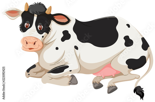 Happy cow laying down