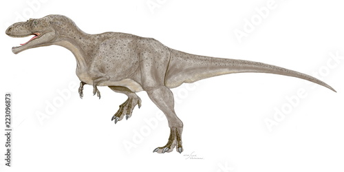 アレクトロサウルス・オルセニ(学名・小種名）アジアで最初に発見されたティラノサウルス科の獣脚類。。モンゴル自治区の白亜紀後期の地層から発見された。ティラノサウルス科としては脛骨がやや短く大腿骨とほぼ同じ長さである。やや原始的な中型の肉食恐竜。何体か描いたが、これは2018年に補修したイラスト画像。アレクトロは独身とか孤独のという意味がある。