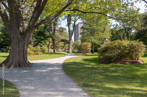 path in the park
