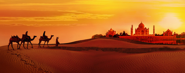 Wandcirkels India Kamelenkaravaan bij Taj Mahal zonsondergang  © Belikova Oksana
