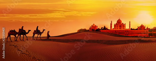 Fotografia Camel caravan going through the desert.Taj Mahal during sunset