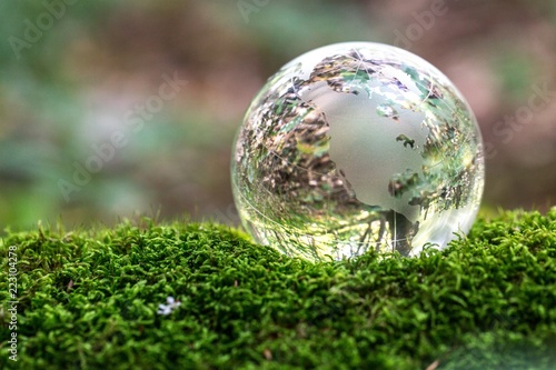 Glass Globe on Grass