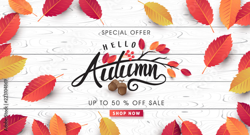 Autumn sale background layout decorate with leaves of autumn for shopping sale or promo poster and frame leaflet or web banner.Vector illustration template.