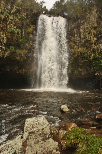 Aberdares national park