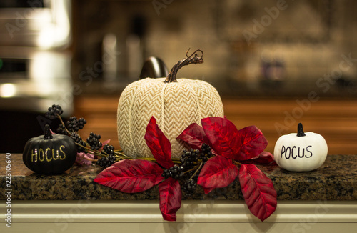 Foto Pumpkins with the words hocus locus on minature pumpkins, poinsettia, for fall c