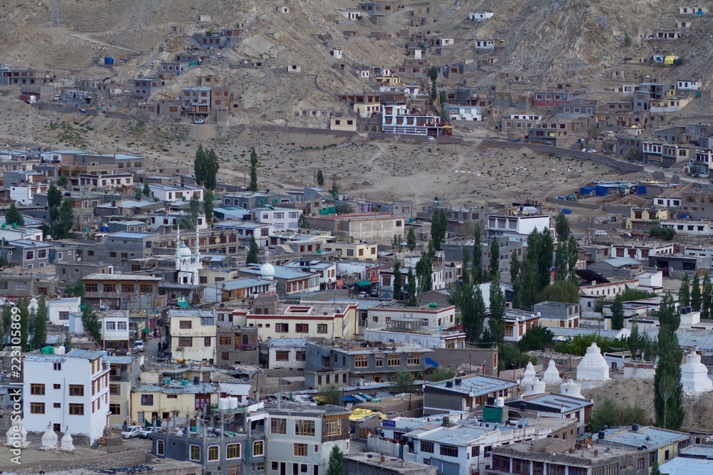 Close up View of Houses and Buildings in the Himalaya City of Ladakh 