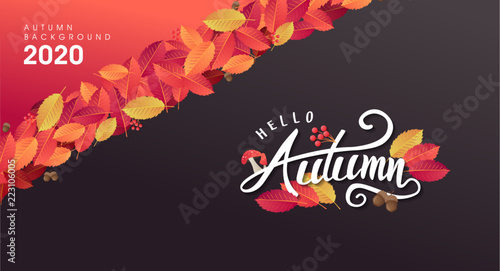 Autumn sale background layout decorate with leaves of autumn for shopping sale or promo poster and frame leaflet or web banner.Vector illustration template.