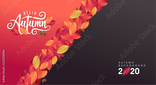 Autumn sale background layout decorate with leaves of autumn for shopping sale or promo poster and frame leaflet or web banner.Vector illustration template.