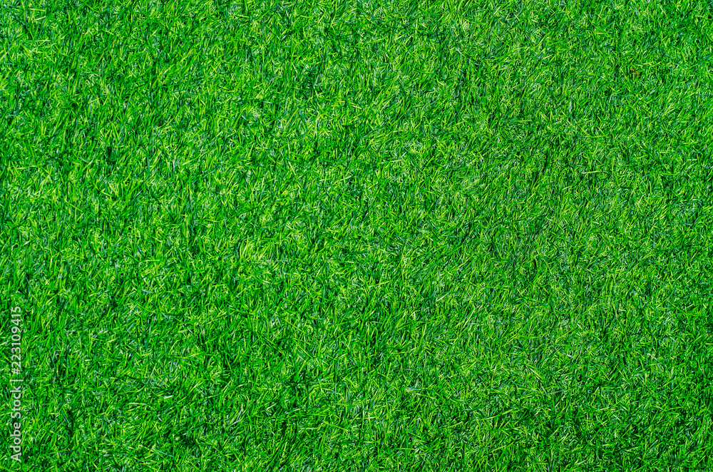Fototapeta premium Green grass texture background