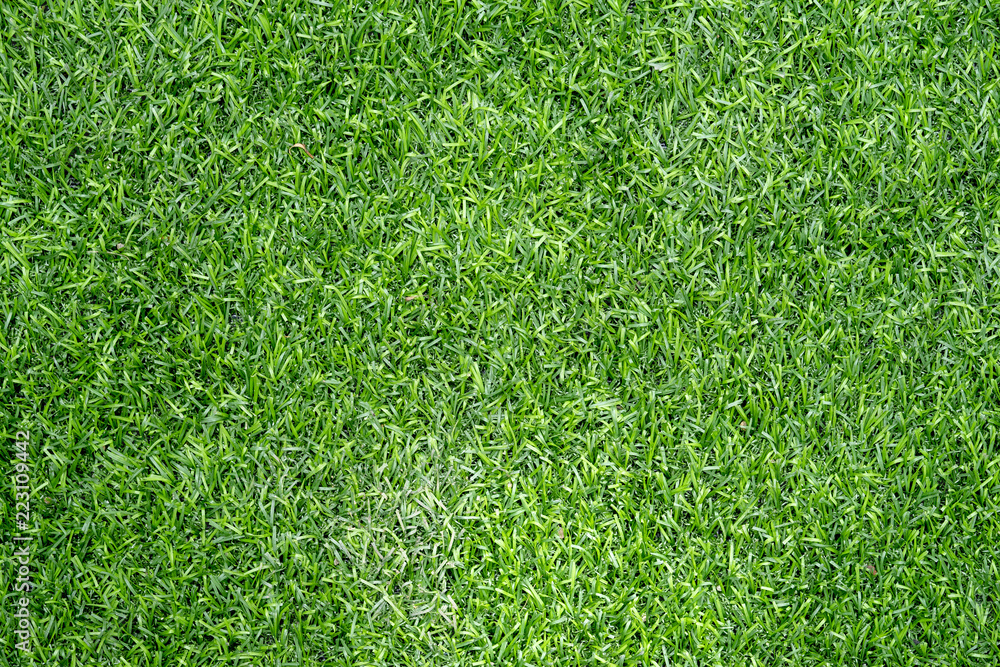 Fototapeta premium Green fake grass substitute for grass, but durable and long.