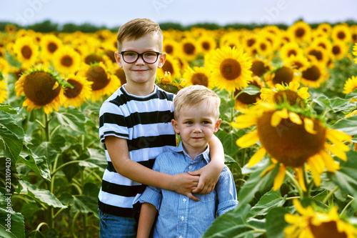 Funny boys in the field with sunflowers . Brothers play outdoors