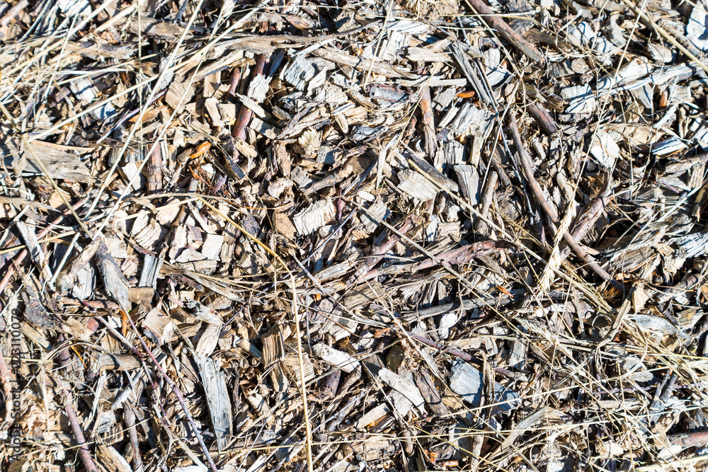 Wooden background, large chips and sawdust. View from above Wooden background, large chips and sawdust. View from above