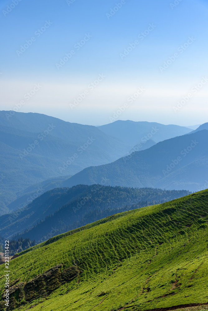 Summer mountain landscape. Mountainsides.