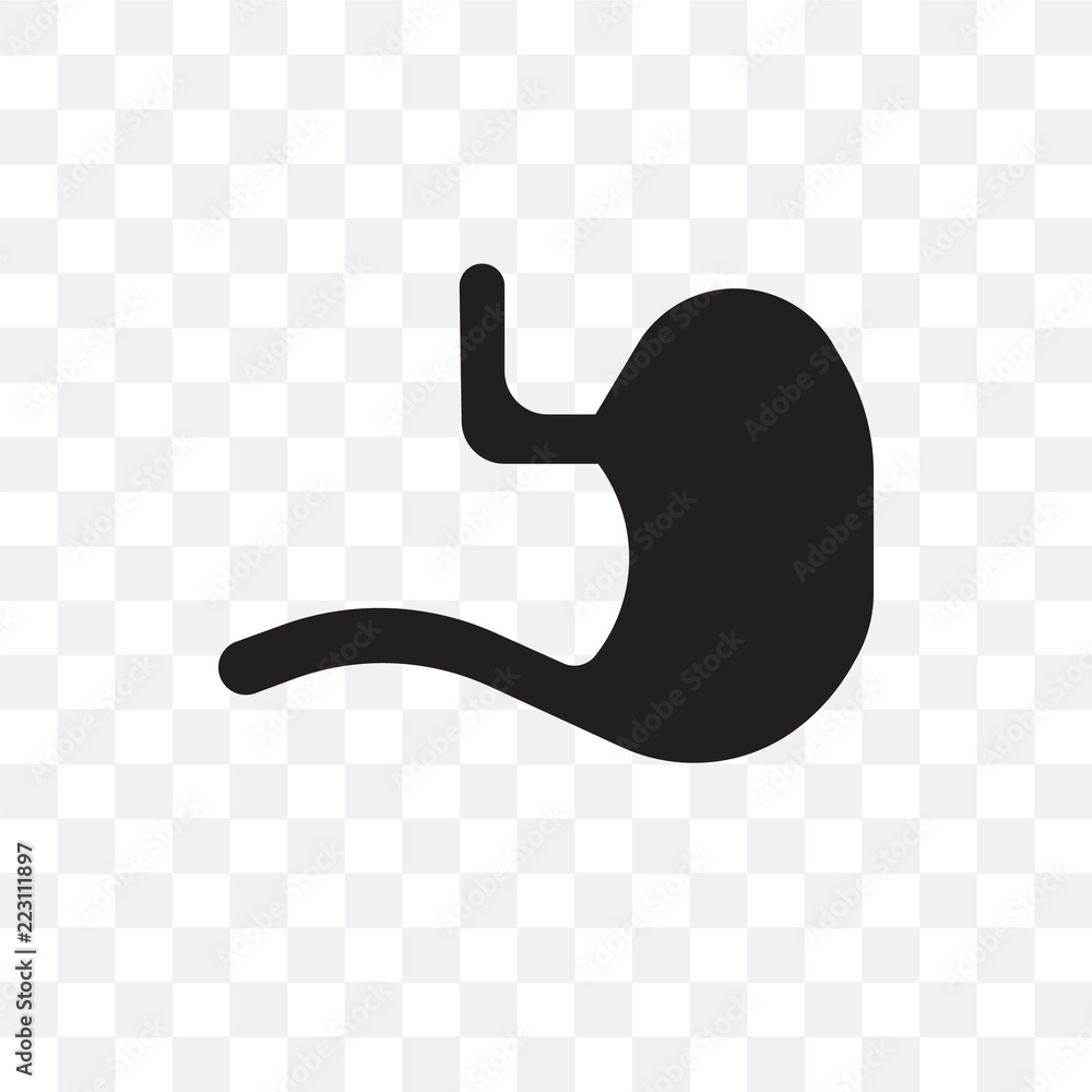 Obraz premium stomach icon isolated on transparent background. Simple and editable stomach icons. Modern icon vector illustration.