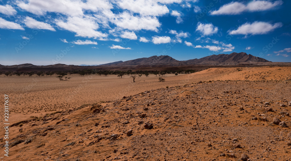 Sossusvlei dunes inside the Namib-Naukluft Park in Namibia 