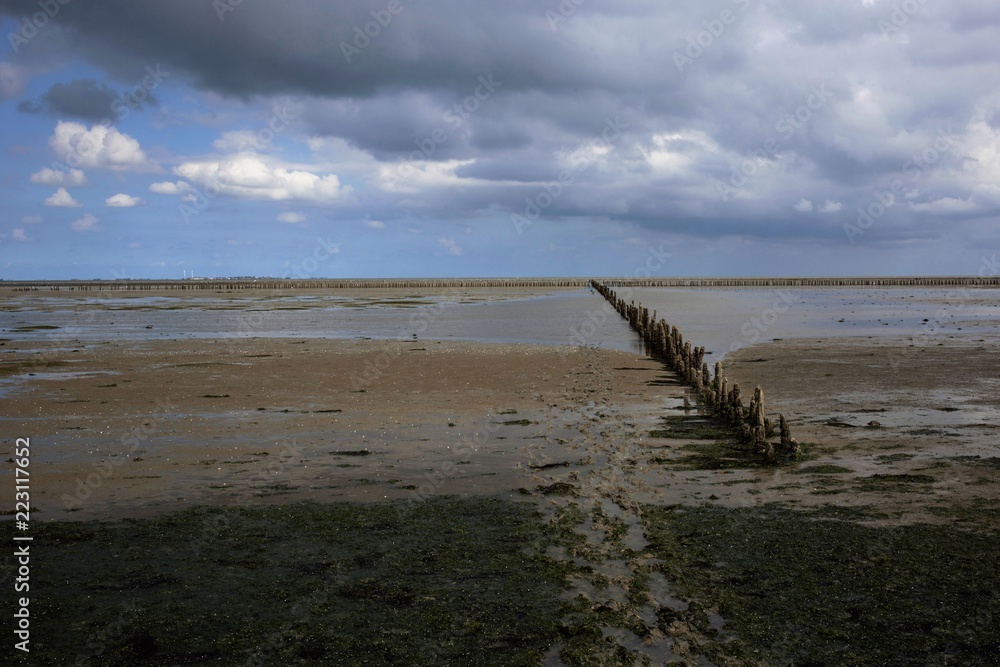 Breakwater with salt marshes