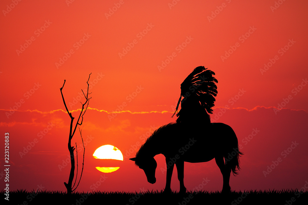 Fototapeta Native American Indian o zachodzie słońca