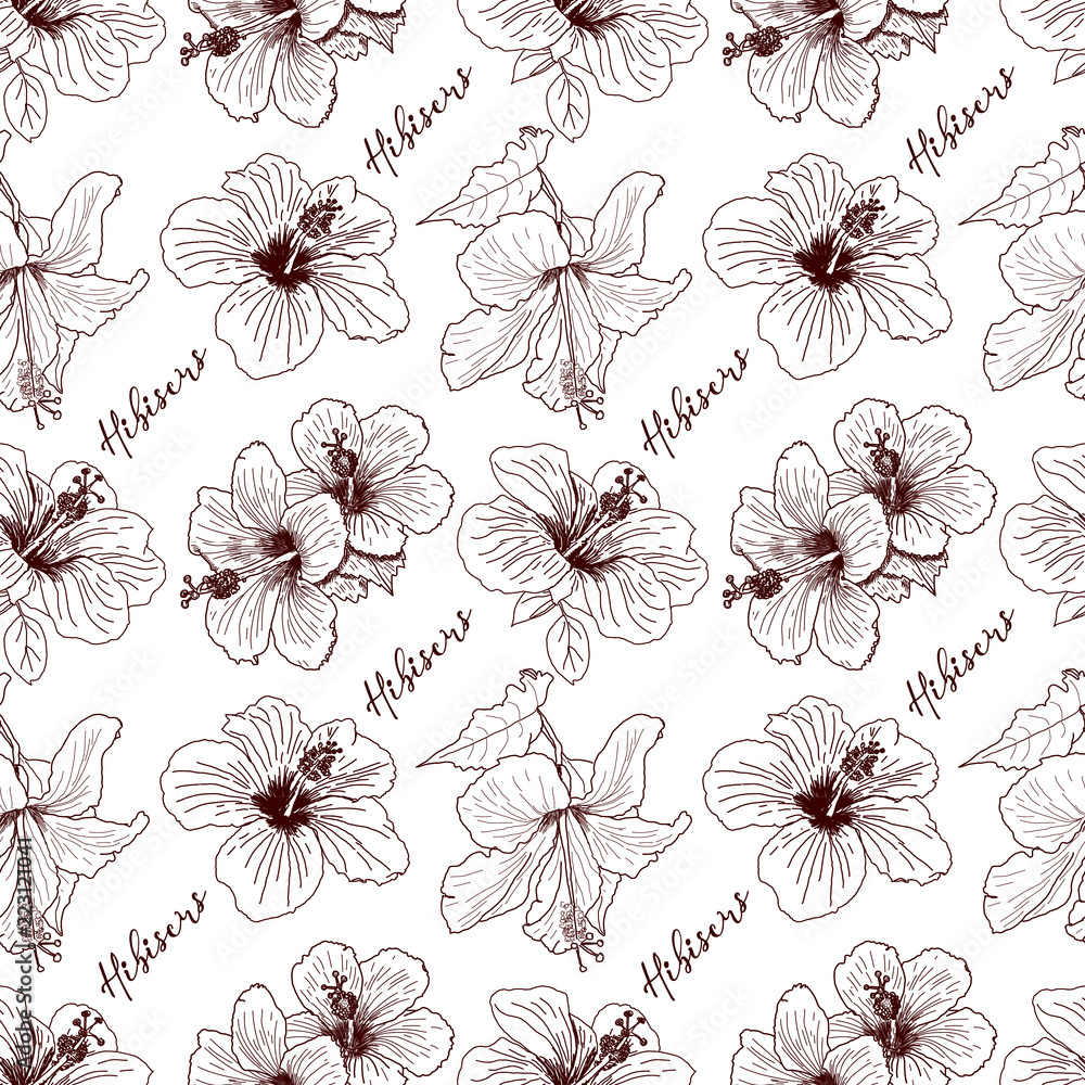 Pattern bouquet tropical Hibiscus flowers. Hand drawn sketch. Vector ...