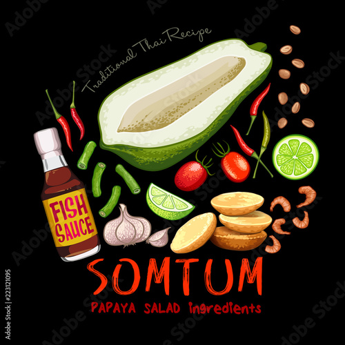 Traditional thai recipe somtum papaya salad ingredients vector illustration