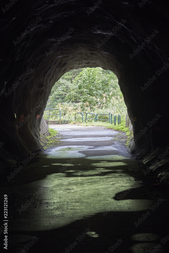 Obraz premium トンネルの向こうの景色