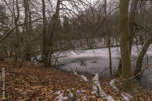 See mit eingefrorenem Baum mit Schnee und Eis photo