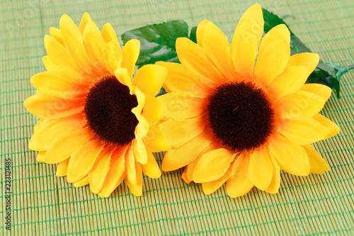 Fototapeta Naklejka Na Ścianę i Meble -  Flowers