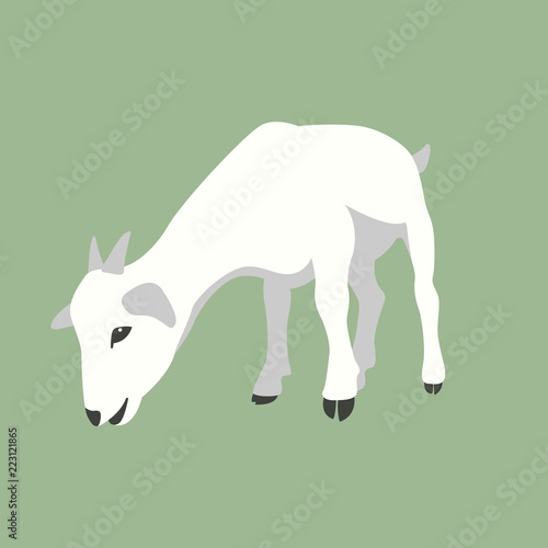 goat  vector illustration flat style front side